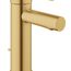 Essence New Single Hole Single-Handle S-Size Bathroom Faucet, 1.2 GPM (Brushed Cool Sunrise), 32216GNA