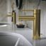 Essence New Single Hole Single-Handle S-Size Bathroom Faucet, 1.2 GPM (Brushed Cool Sunrise), 32216GNA