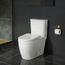 Essence 1.28/1.0 Gpf Two-Piece Dual Flush Right Height Elongated Toilet w/ Seat, 39674000