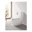 Essence 1.28/1.0 Gpf Dual Flush Toilet Tank, 39678000