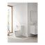 Essence 1.28/1.0 Gpf Dual Flush Toilet Tank, 39678000