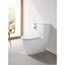 Essence 1.28/1.0 Gpf Dual Flush Toilet Tank, 39678000
