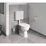 Bau Cosmopolitan Toilet Brush Set, 40463001