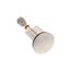 Plug (Chrome)