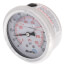 2.5" Stainless Steel Liquid Filled Gauge, Back Mount, w/ Brass Internals (0-100 PSI)