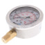 2.5" Stainless Steel Liquid Filled Gauge, Bottom Mount, w/ Brass Internals (0-100 PSI)