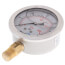 2.5" Stainless Steel Liquid Filled Gauge, Bottom Mount, w/ Brass Internals (0-30 PSI)