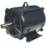 3 PH Globetrotter General Purpose Motor, 184T Frame (208-230/460V, 1800 RPM, 5 HP)