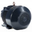 3 Phase TEFC Globetrotter General Purpose Motor, 254T Frame (230/460V, 1772 RPM, 15 HP)