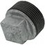 1-1/4" Galvanized Malleable Square Head Plug