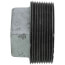 2" Galvanized Malleable Square Head Plug