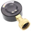 Water Test Gauge, 3/4" Hose Thread, Top Mount (0 - 300 PSI)