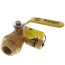 1" PEX Crimp x FNPT Union Pro-Pal Ball Valve w/ Drain & Reversible Handle (Lead Free)