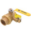 1-1/2" PEX Crimp x FNPT Union Pro-Pal Ball Valve w/ Drain & Reversible Handle (Lead Free)