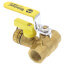 1-1/4" PEX Crimp Pro-Pal Ball Valve w/ Drain & Reversible Handle (Lead Free)