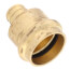 3/4" x 1" PEX Crimp x Copper Press Brass Adapter (Lead Free)