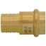 1" PEX Crimp x 3/4" Press Brass Adapter (Lead Free)