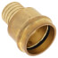 1-1/4" PEX Crimp x Copper Press Brass Adapter (Lead Free)