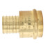 1-1/4" PEX Crimp x Copper Press Brass Adapter (Lead Free)