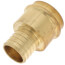 1-1/4" PEX Crimp x Copper Press Brass Adapter (Lead Free)