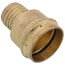 2" PEX Crimp x Copper Press Brass Adapter (Lead Free)
