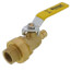 1/2" Expansion PEX x FNPT Union Ball Valve (Lead Free)