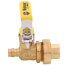 1/2" Expansion PEX x FNPT Union Pro-Pal Ball Valve w/ Drain & Reversible Handle (Lead Free)