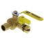 1" Expansion PEX Pro-Pal Ball Valve w/ Drain & Reversible Handle (Lead Free)