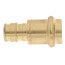 1/2" Expansion PEX x Copper Press Brass Adapter (Lead Free)