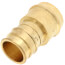 2" Expansion PEX x Copper Press Brass Adapter (Lead Free)
