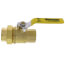 1" Threaded x FNPT Union Full Port Ball Valve (Lead Free)