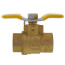 1/2" Threaded Full Port Ball Valve with Stainless Steel Wing (Lead Free)