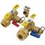 1" IPS Isolator E-X-P E2 Tankless Water Heater Service Valve Kit w/ 150 PSI PRV