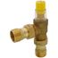 1" FIP Angled Differential Pressure By-Pass Valve