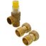 1" FIP Angled Differential Pressure By-Pass Valve