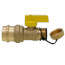 1" Press x 3/4" Hose Pro-Pal Add-A-Drain Full Port DZR Brass Ball Valve w/ Cap