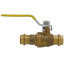 1/2" Press Pro-Pal Ball Check Forged DZR Brass Valve w/ Integrated Spring Check Valve (Lead Free)