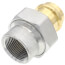 1" FIP × Press Dielectric Union (LF)