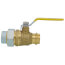 1" FIP Union x Press Pro-Pal Dielectric Union Ball Valve (Lead Free)