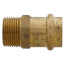 3/4" Copper Press x MIP DZR Brass Transition Adapter (Lead Free)