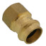 3/4" Copper Press x FIP DZR Brass Transition Adapter (Lead Free)