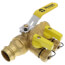 1" Press Full Port Purge & Fill Ball Valve