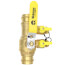 1-1/2" Press Full Port Purge & Fill Ball Valve