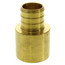 3/4" PEX x 3/4" Copper Pipe Brass Adapter (Lead Free)