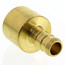 3/8" PEX x 1/2" Copper Pipe Brass Adapter (Lead Free)
