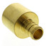1/2" PEX x 3/4" Copper Pipe Brass Adapter (Lead Free)