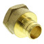 1" PEX x 1" NPT Brass Female Adapter (Lead Free)