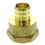 1" PEX x 1" NPT Brass Female Adapter (Lead Free)
