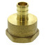 1/2" PEX x 3/4" NPT Brass Female Adapter (Lead Free)