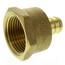 1/2" PEX x 3/4" NPT Brass Female Adapter (Lead Free)
